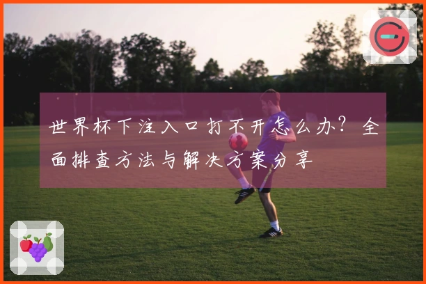 世界杯下注入口打不开怎么办？全面排查方法与解决方案分享